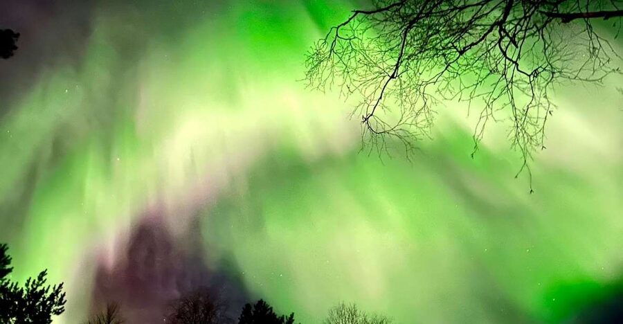 Rovaniemi Hunting Aurora at the Best Spots - The first stop: lake, forest, and open sky