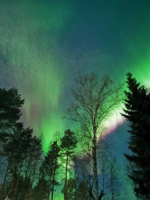 Rovaniemi Hunting Aurora at the Best Spots - Hot tea and Arctic waiting time