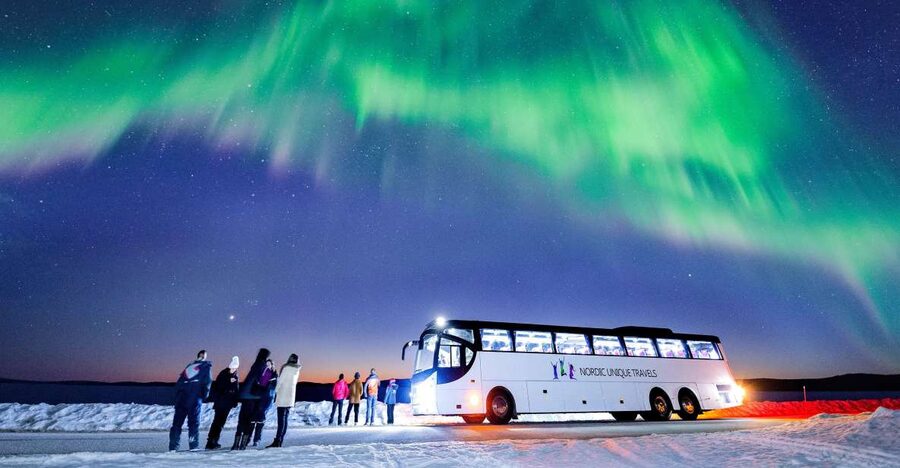 Rovaniemi: Hunting Northern Lights Bus Tour - What the Rovaniemi aurora hunt is really like