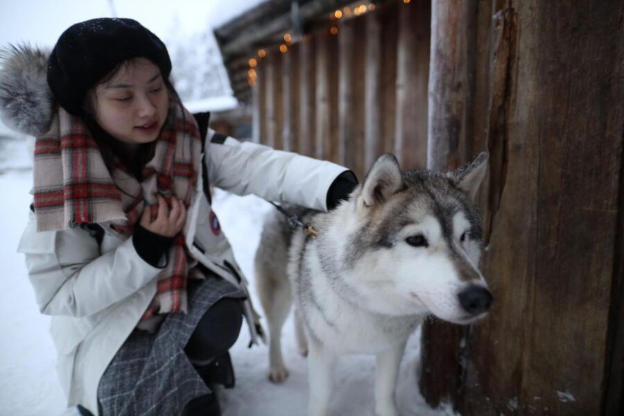 Rovaniemi: Husky and reindeer farm visit with sleigh rides - What to wear and what to bring