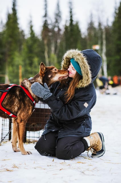 Rovaniemi: Husky and Reindeer farm with sleigh ride - Who will enjoy this experience most