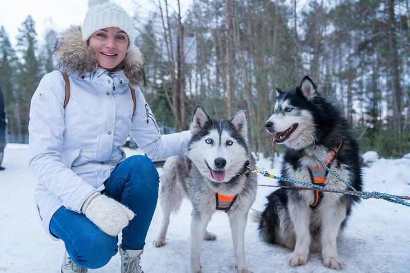 Rovaniemi: Husky Farm and Reindeer Experience - What this four-hour Rovaniemi tour actually delivers