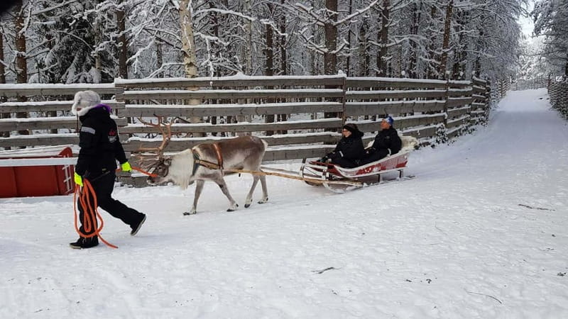 Rovaniemi: Husky Farm and Reindeer Experience - The guide and transport can make the difference