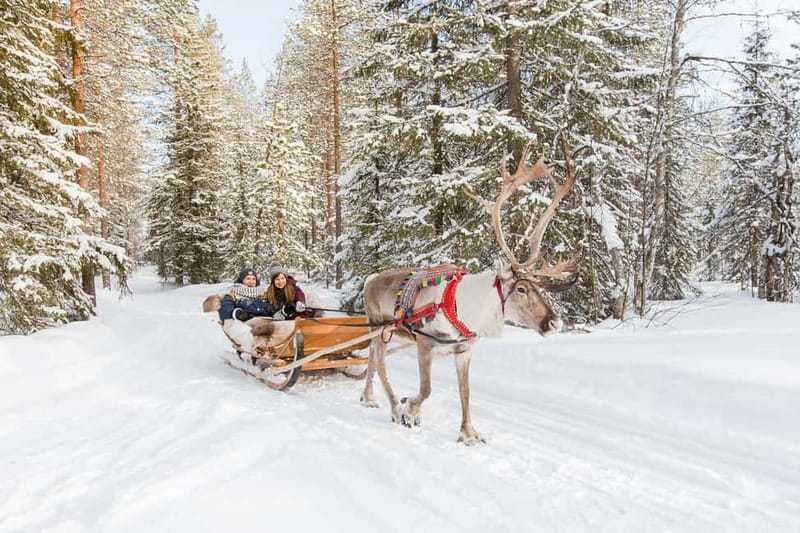 Rovaniemi: Husky Farm and Reindeer Experience - Winter clothing and what to bring