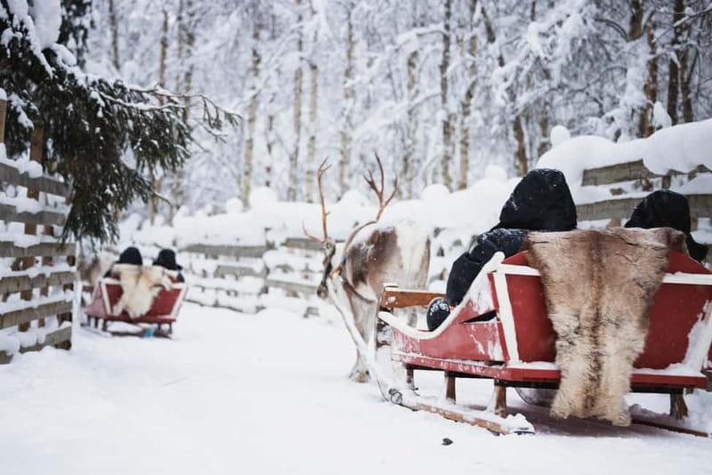 Rovaniemi: Husky Farm and Reindeer Experience - Starting at the reindeer manor, 20 minutes from town