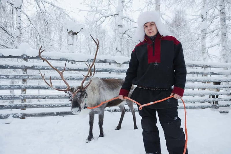 Rovaniemi: Husky & Reindeer Experience with Snowmobile Ride - What this six-hour Arctic package actually offers