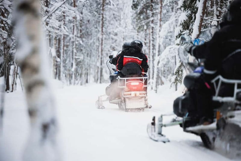 Rovaniemi: Husky & Reindeer Experience with Snowmobile Ride - One hour on a snowmobile through Arctic Circle forests