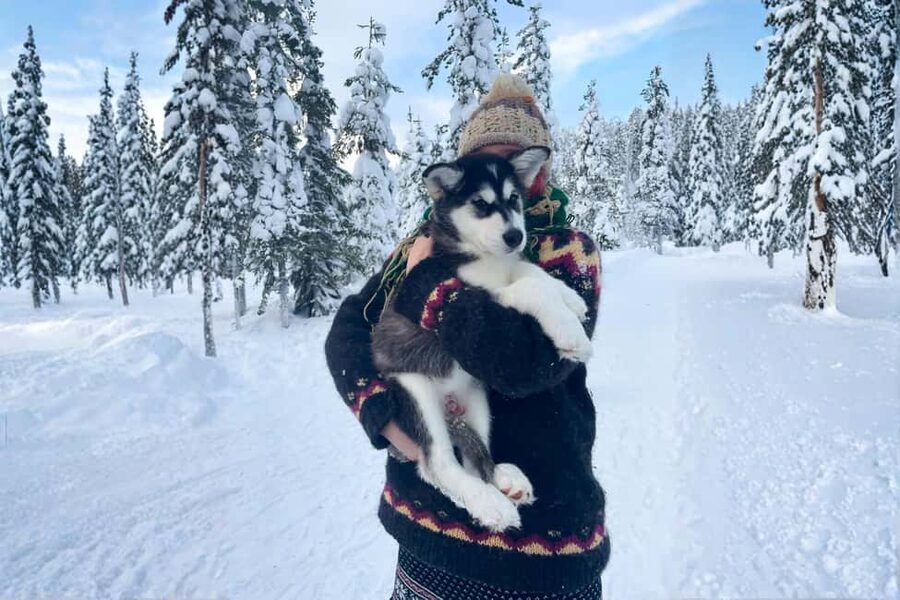 Rovaniemi: Husky Safari & Campfire BBQ – 6‑10 km Self‑Drive - The farm, the fire, and the BBQ
