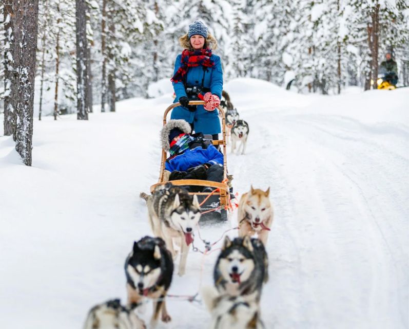 Rovaniemi: Husky Safari on a Snowy Trail - Ten kilometers through snowy forest and open country