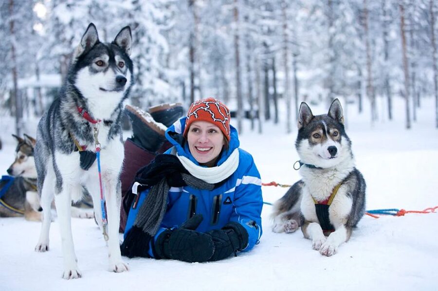 Rovaniemi: Husky Safari on a Snowy Trail - Hot blueberry juice and Finnish gingerbread