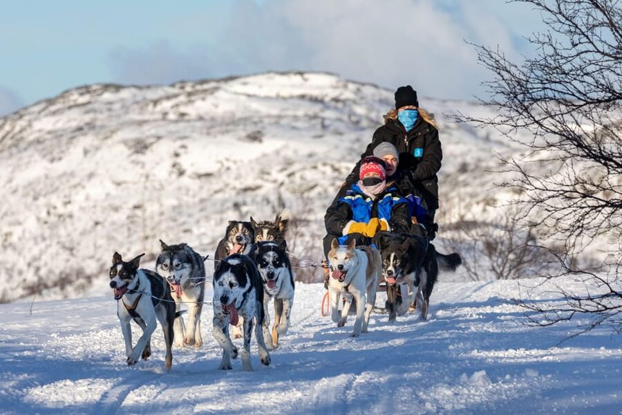 Rovaniemi: Husky Sled Ride and Farm Visit - Warming up with berry juice and cookies
