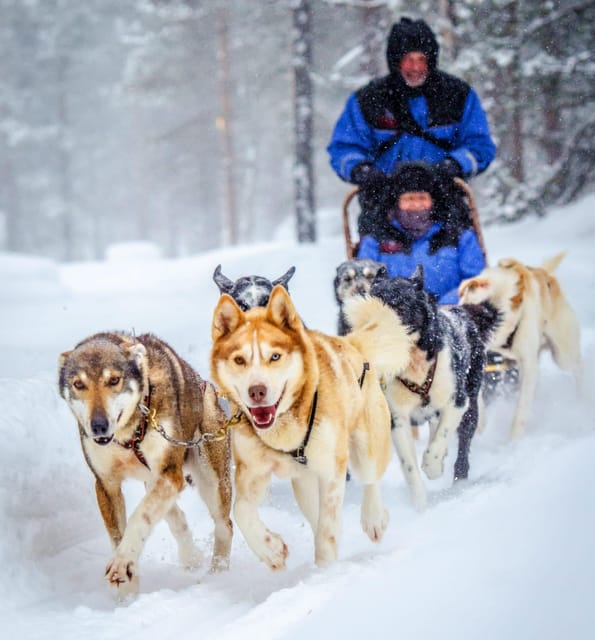 Rovaniemi: Husky Sled Ride and Farm Visit - How the transfers affect the two-hour schedule
