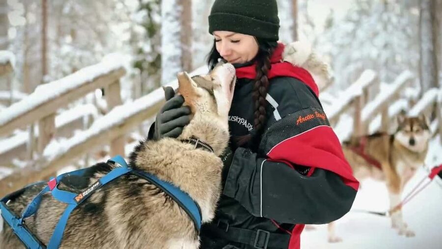 Rovaniemi: Husky Sled Ride and Farm Visit - Is $117 a fair price for this experience?