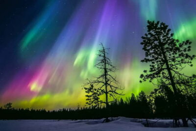 Ice Floating in Forest Lake with Aurora Borealis