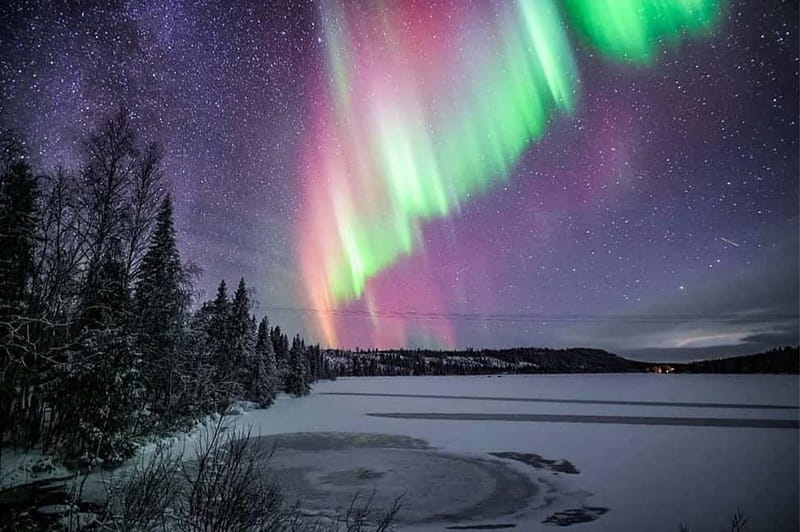 Rovaniemi: Ice Floating in Forest Lake with Aurora Borealis - Floating beside the ice