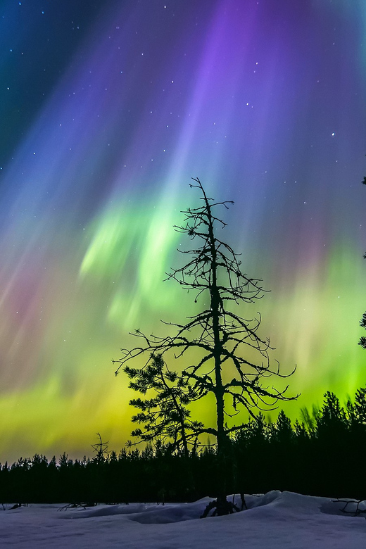 Rovaniemi: Ice Floating in Forest Lake with Aurora Borealis - Watching for the aurora from the water