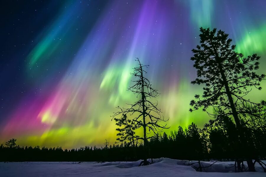 Rovaniemi: Ice Floating in Forest Lake with Aurora Borealis - Hot tea and gingerbread after the lake