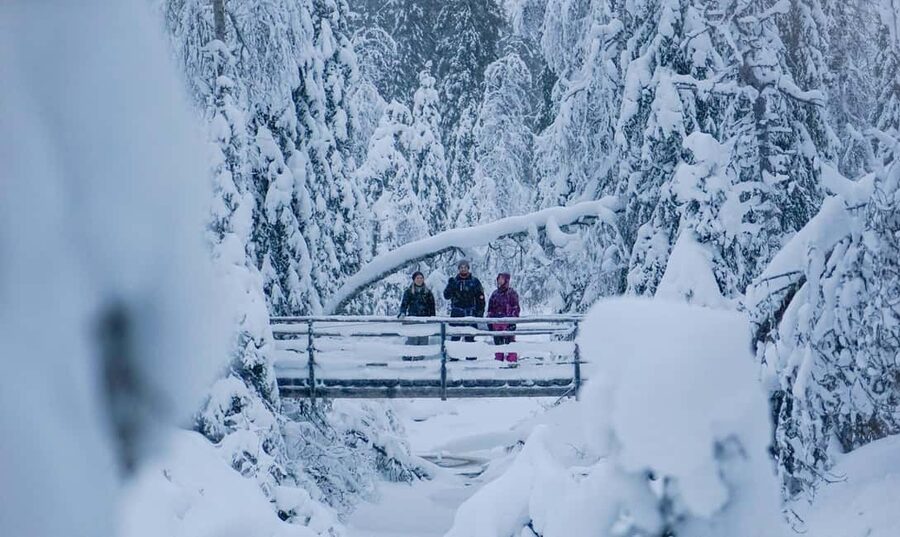 Rovaniemi: Korouoma Canyon and Frozen Waterfalls Tour - A traditional Lappish barbecue by the fire