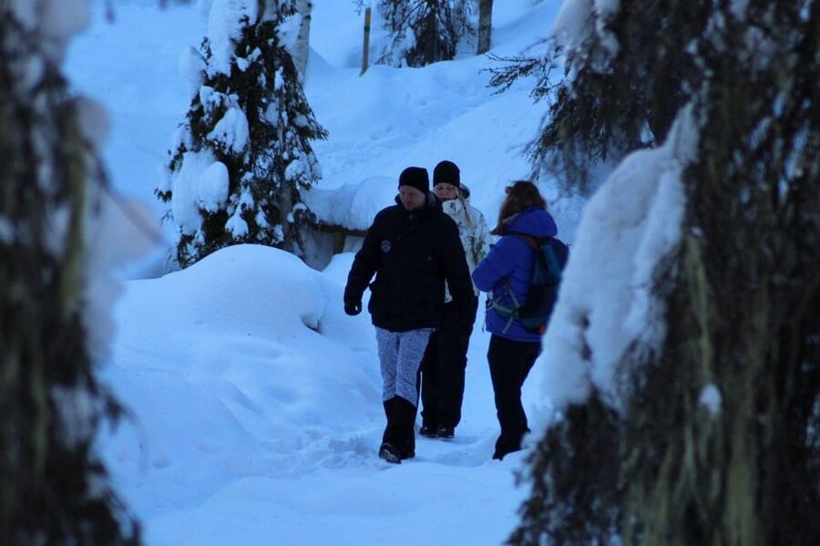 Rovaniemi: Korouoma Canyon Frozen Waterfalls Guided Hike - Returning to Rovaniemi after a full Arctic day