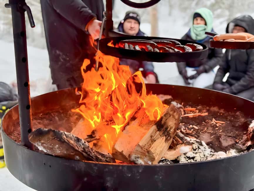 Rovaniemi: Korouoma Canyon & Frozen Waterfalls Tour with BBQ - Price and what the $158 covers