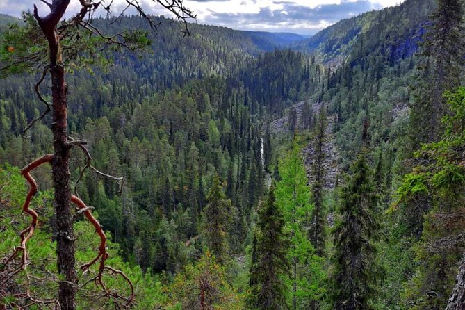 Rovaniemi Korouoma Canyon Hike and Barbecue Experience - Key points to know before booking