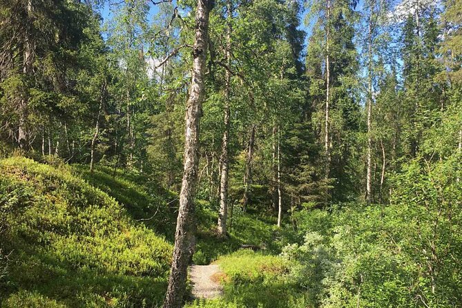 Rovaniemi Korouoma Canyon Hike and Barbecue Experience - Why Korouoma Canyon makes a strong day trip from Rovaniemi