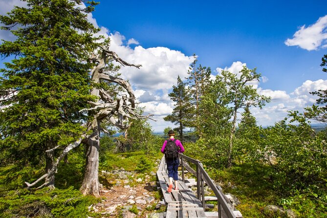 Rovaniemi Korouoma Canyon Hike and Barbecue Experience - The morning pickup and ride into the wilderness