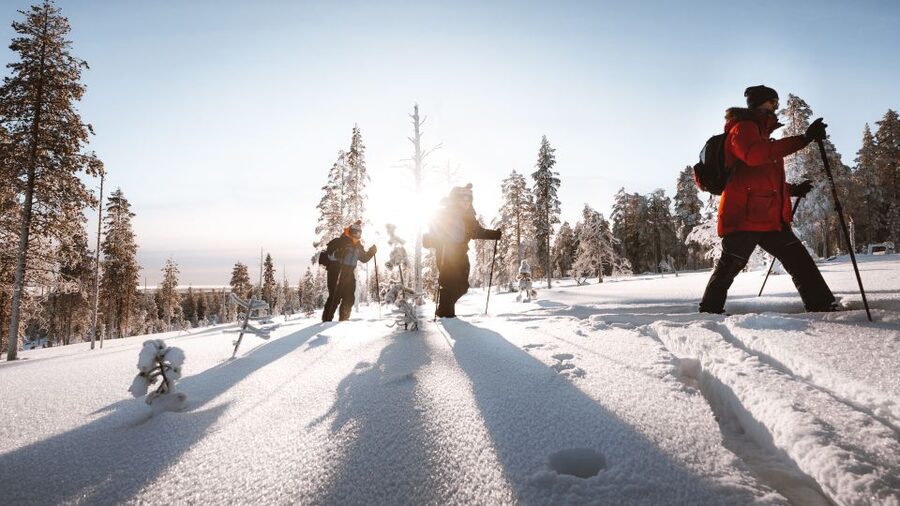 Rovaniemi: Lapland Ski Trekking Safari - Through spruce forest, hills, and frozen water