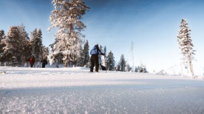 Lapland Ski Trekking Safari