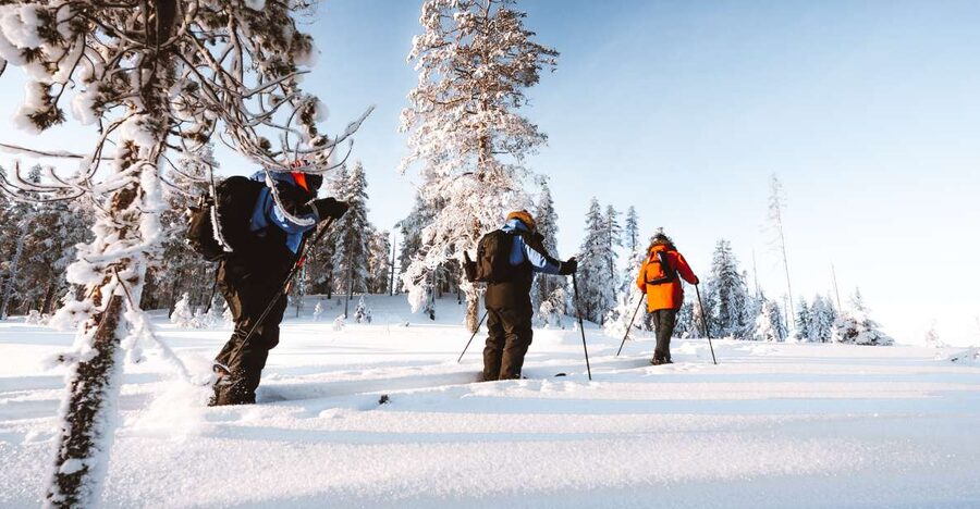 Rovaniemi: Lapland Ski Trekking Safari - Is $128 good value?