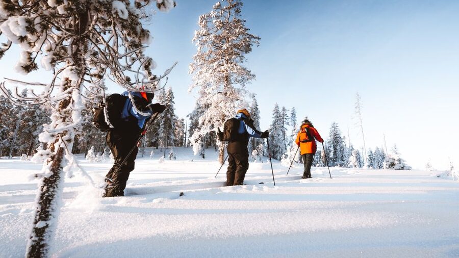 Rovaniemi: Lapland Ski Trekking Safari - What to wear and how to prepare