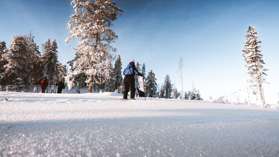 Rovaniemi: Lapland Ski Trekking Safari - Learning to use back-country skis