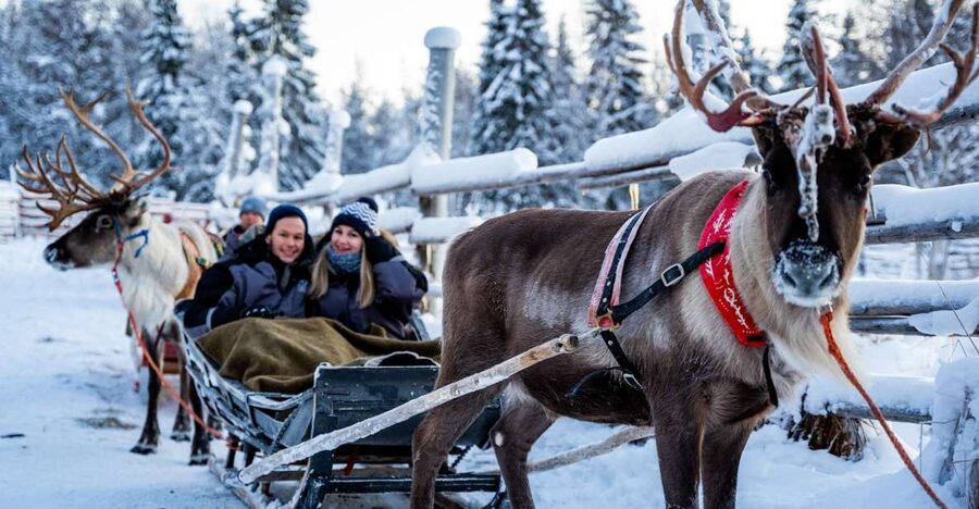 Rovaniemi: Local Reindeer Farm Visit with Sleigh Ride - Booking details that matter