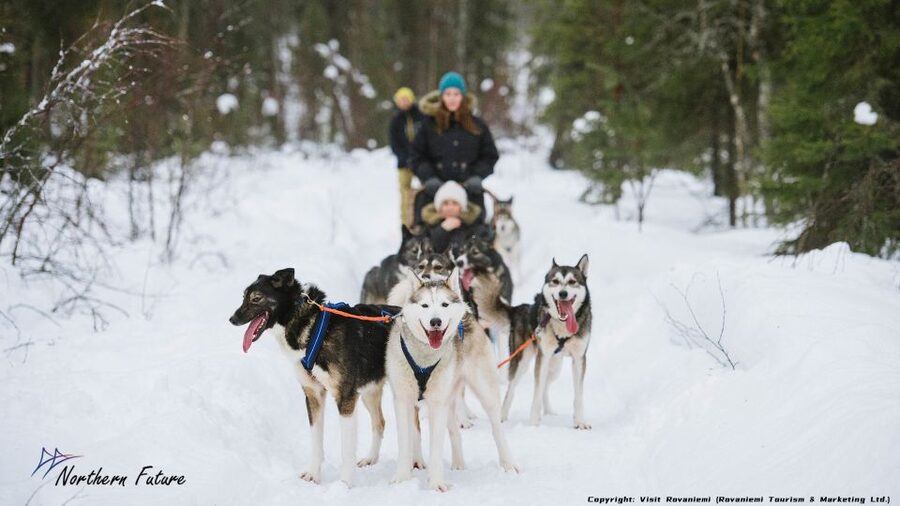 Rovaniemi: Meet Santa Claus, Reindeer Sleigh Ride & Huskies - The practical shape of the morning