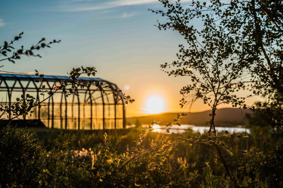 Rovaniemi: Midnight Sun Photography Tour - Choosing the right season and date