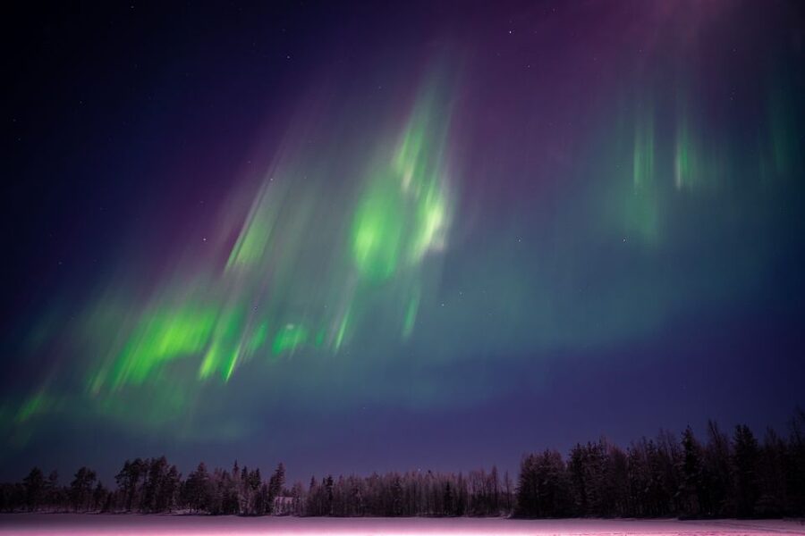 Rovaniemi: Night Sky lappish Barbecue - Who will enjoy this evening most