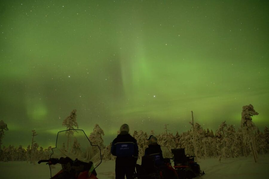 Rovaniemi: Night Snowmobile Tour - Price, group size, and the insurance question