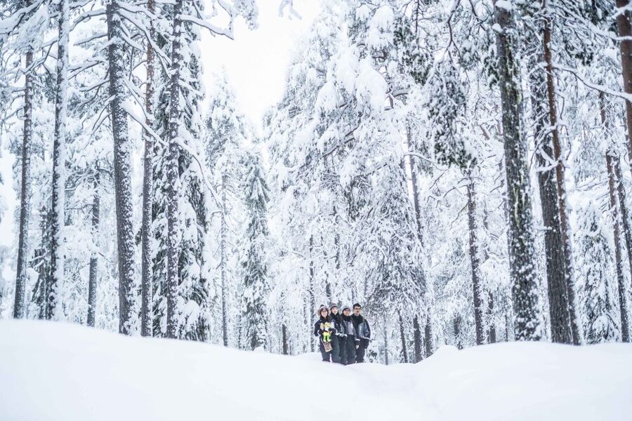 Rovaniemi: Nordic Forest Wilderness Adventure - Booking details that matter