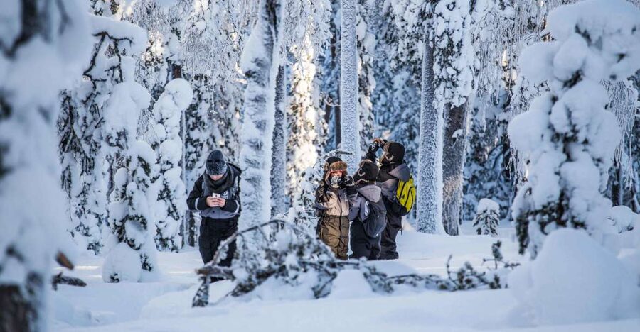 Rovaniemi: Nordic Forest Wilderness Adventure - The climb to the Arctic fell tower