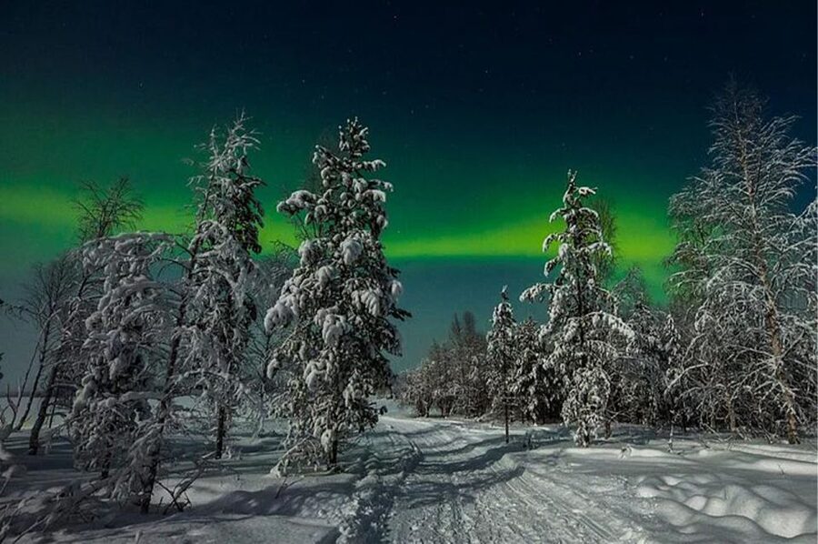 Rovaniemi: Northern Lights and Husky Sleigh Ride - Key points to know before booking