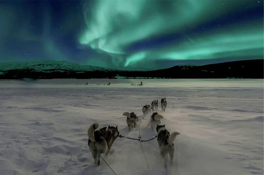 Rovaniemi: Northern Lights and Husky Sleigh Ride - The 5-kilometer husky sleigh ride