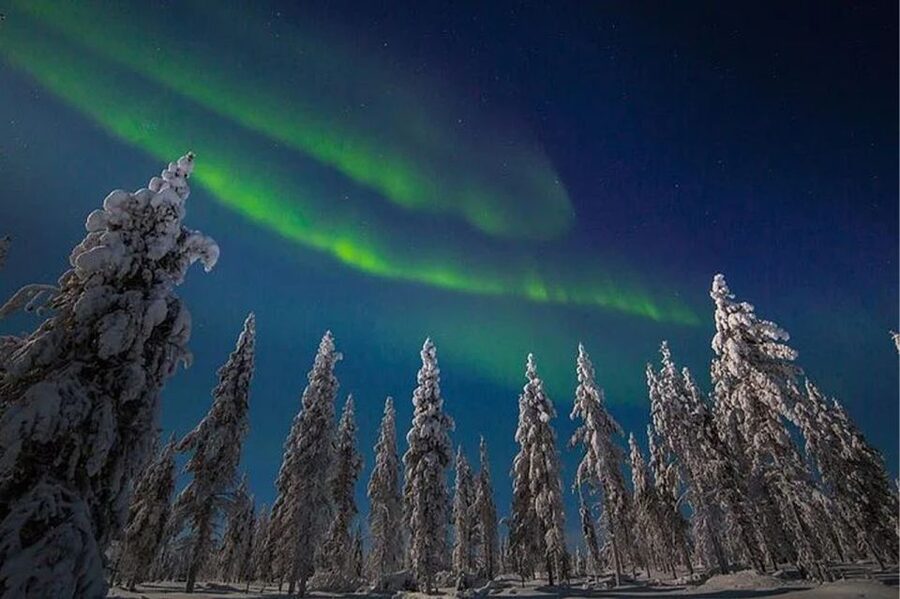 Rovaniemi: Northern Lights and Husky Sleigh Ride - What the night looks like from the sled