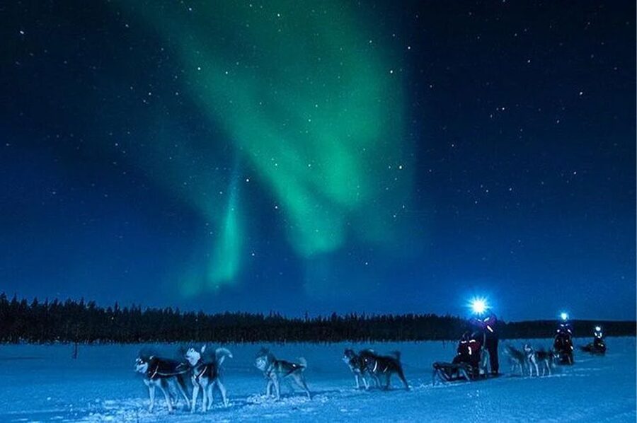 Rovaniemi: Northern Lights and Husky Sleigh Ride - The car search for Northern Lights