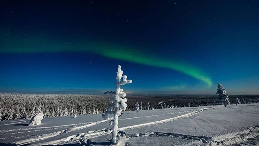 Rovaniemi: Northern Lights and Husky Sleigh Ride - Warm clothing and the cold-weather reality