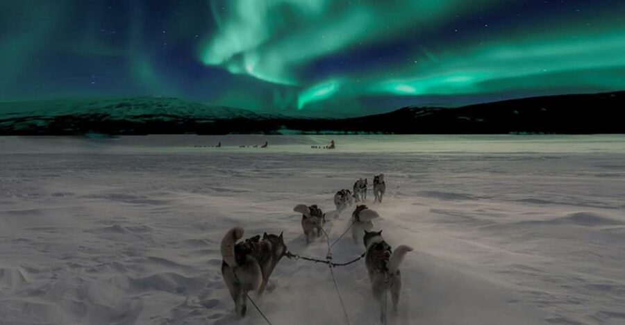Rovaniemi: Northern Lights and Husky Sleigh Ride - Who will enjoy this Rovaniemi activity?