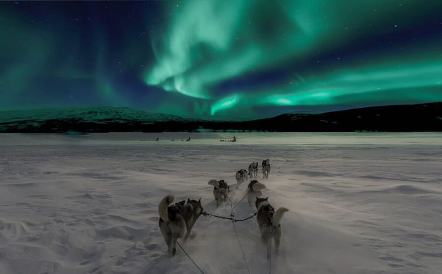 Rovaniemi: Northern Lights and Husky Sleigh Ride - From Rovaniemi pickup to the farmhouse