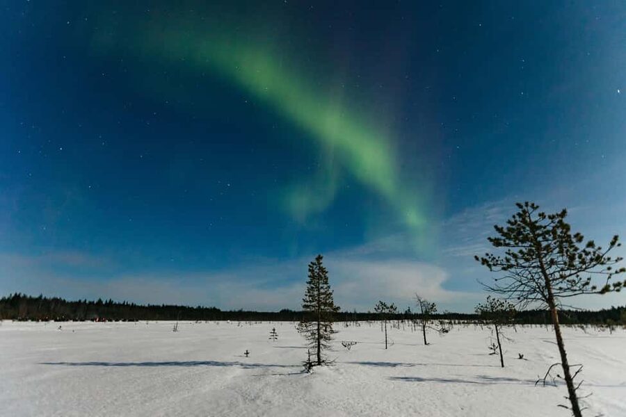 Rovaniemi: Northern Lights Family-Friendly Snowmobile Safari - Setting off from Rovakatu 24