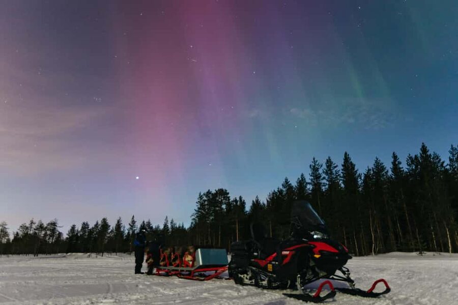 Rovaniemi: Northern Lights Family-Friendly Snowmobile Safari - Through the snowy forest on two machines