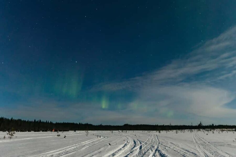 Rovaniemi: Northern Lights Family-Friendly Snowmobile Safari - The midway stop with tea, cocoa, and snacks