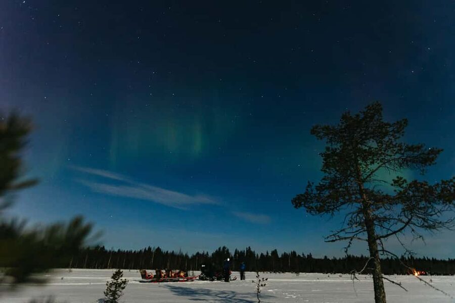 Rovaniemi: Northern Lights Family-Friendly Snowmobile Safari - Hunting the Northern Lights without false promises